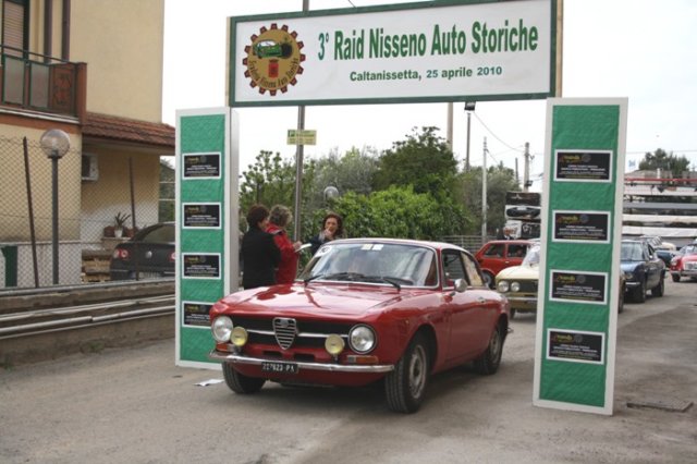 cocorullolaviosa.jpg